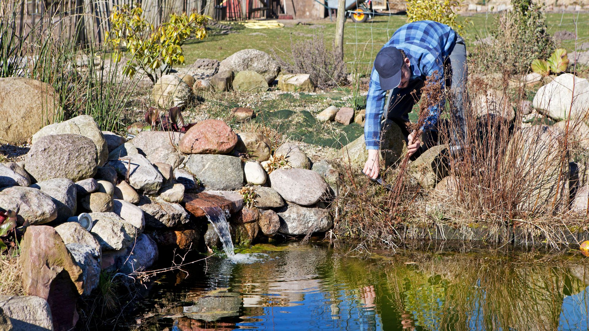 Haus & Garten Herbstkur für den Gartenteich Unser Würmtal